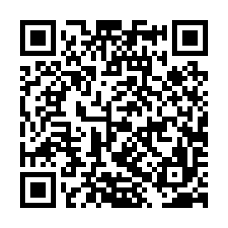 QR code for DXT296