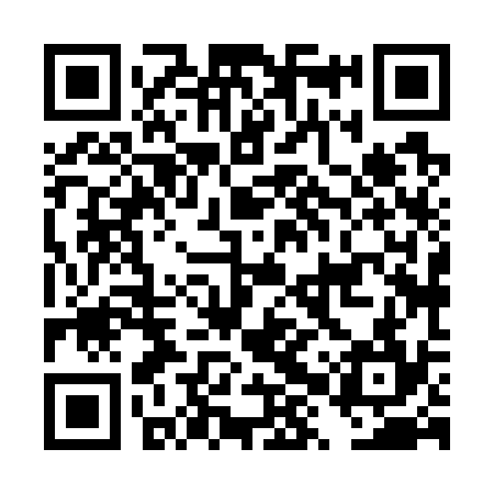 QR code for DXX734