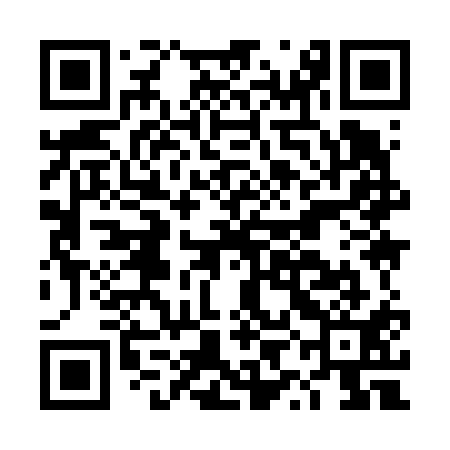 QR code for DYI611