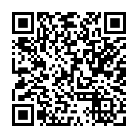 QR code for DYI991