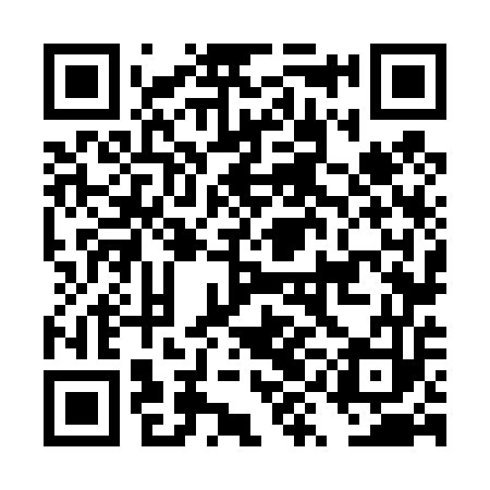 QR code for DYN453