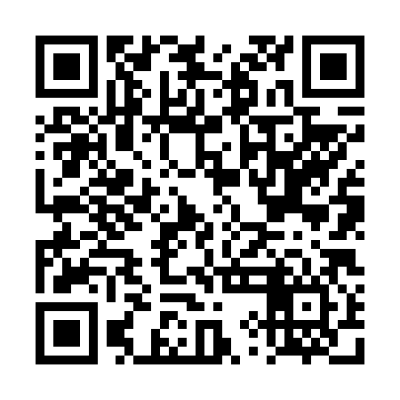 QR code for DYN686