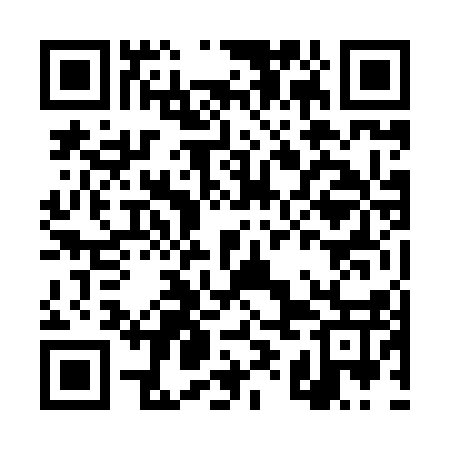 QR code for DYN817