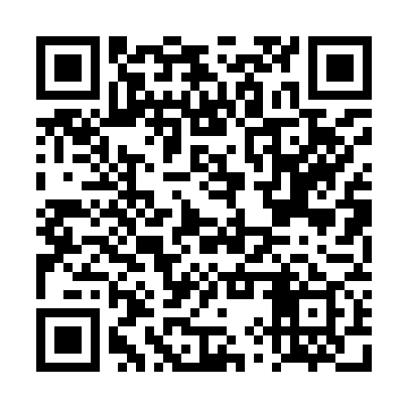 QR code for DYP979