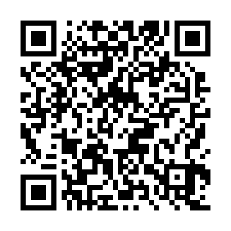 QR code for DYX223