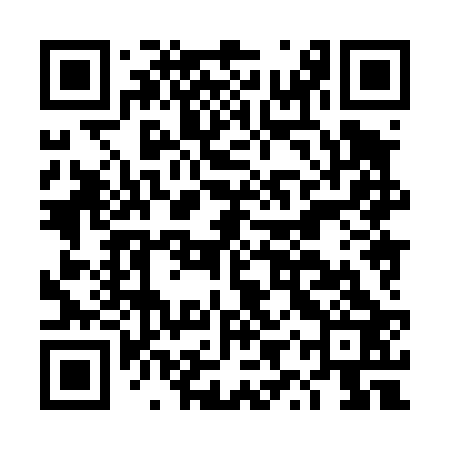 QR code for DYX423