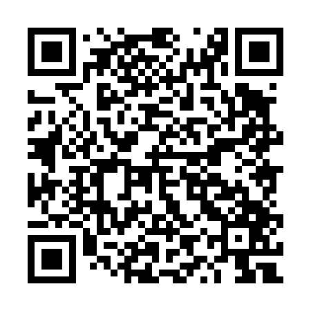 QR code for DYX447