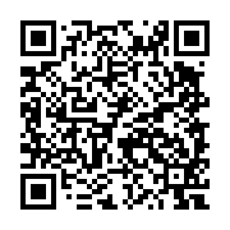 QR code for DZD493