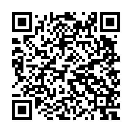 QR code for DZG402