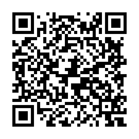 QR code for DZH815