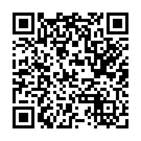 QR code for DZI300