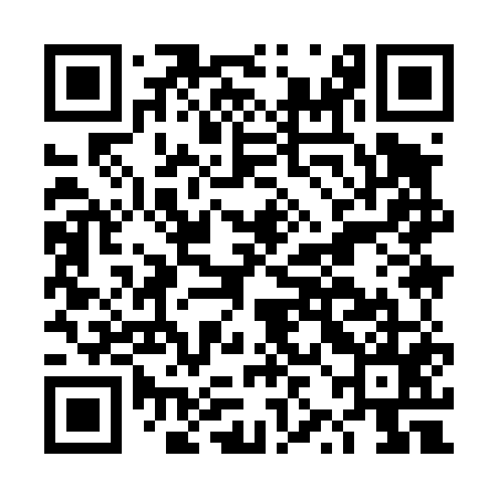 QR code for DZI455