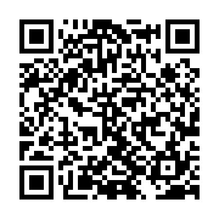 QR code for DZL134