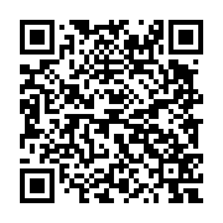 QR code for DZL477