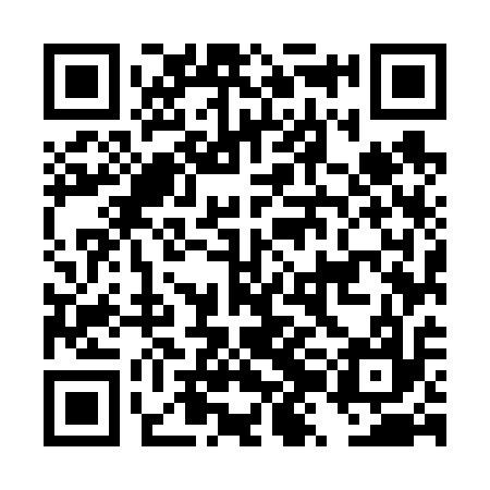 QR code for DZM617