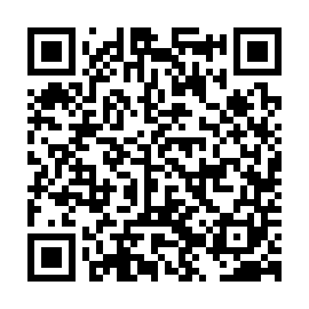 QR code for DZV341