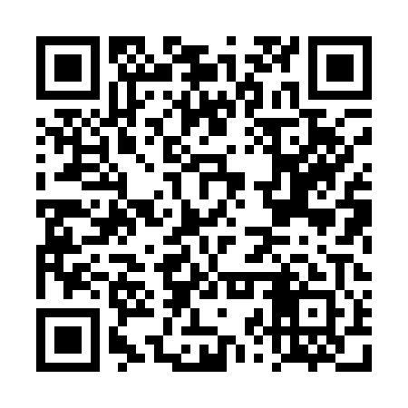QR code for DZX101