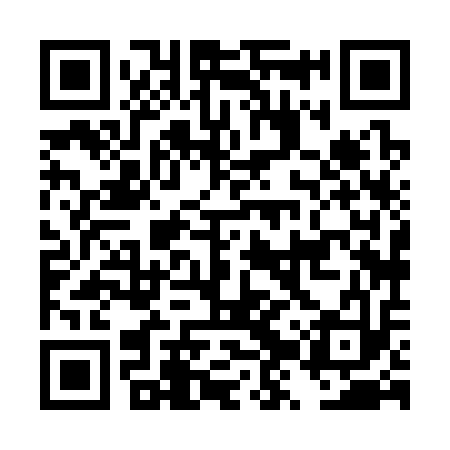 QR code for DZX313
