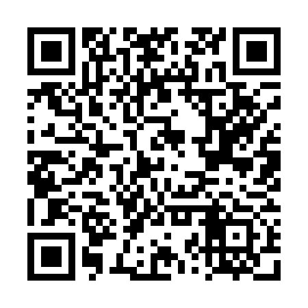 QR code for DZY173