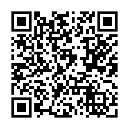 QR code for DZZ950