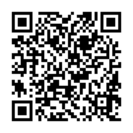 QR code for ECE197