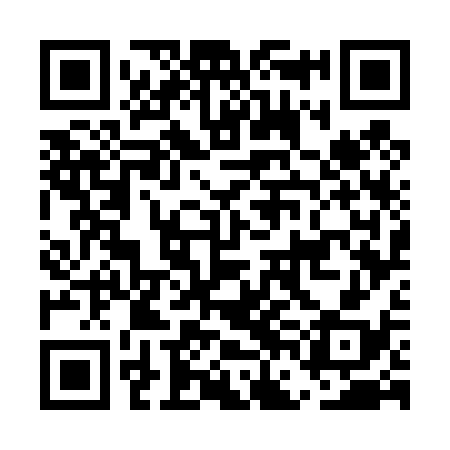 QR code for EFG438