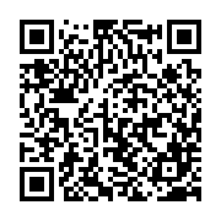 QR code for EIU386