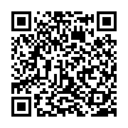 QR code for ELE229