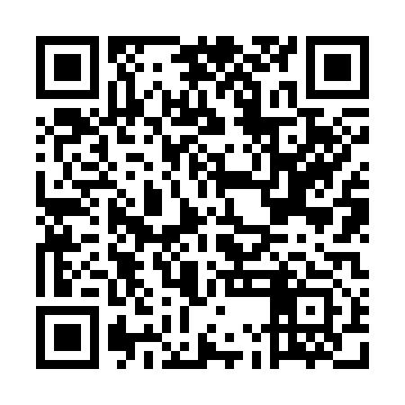 QR code for EMN313