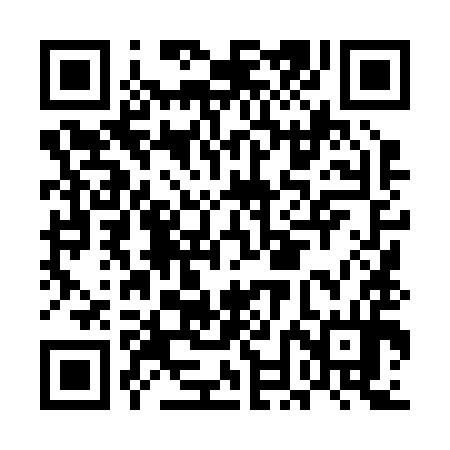 QR code for ENL294