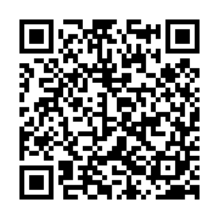 QR code for ERG441