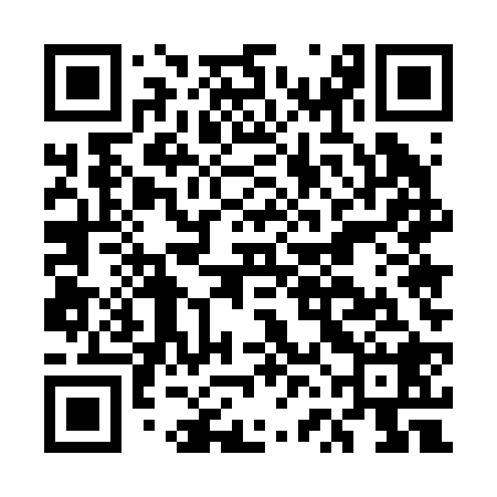 QR code for EVE228