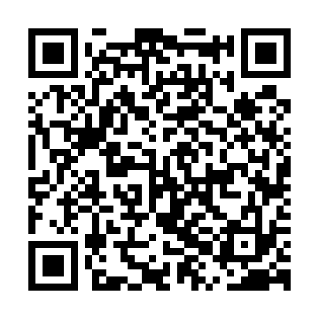 QR code for EXF533