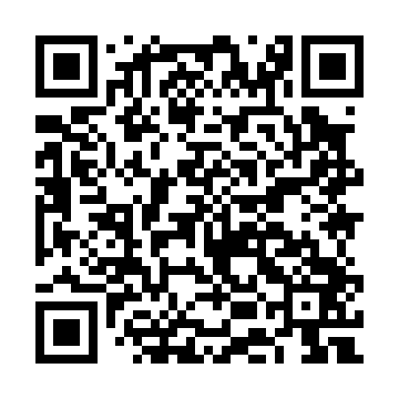 QR code for FEI043