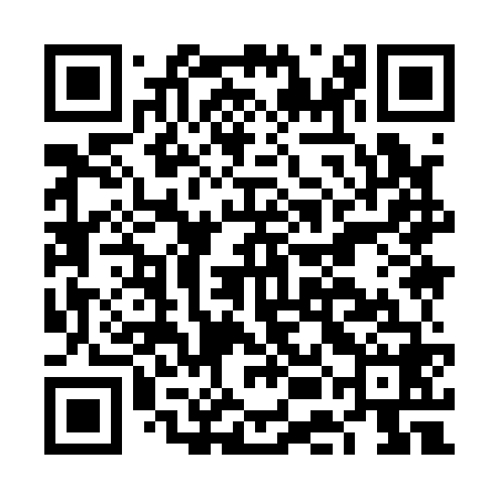 QR code for FEI168