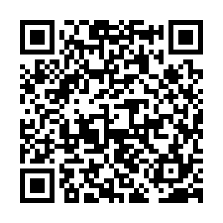 QR code for FEI334