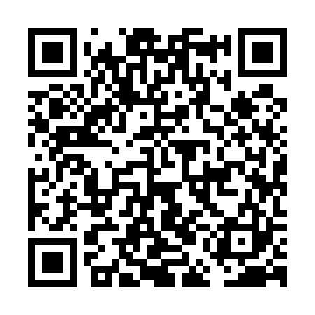 QR code for FEI523