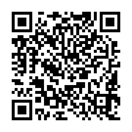 QR code for FEM293