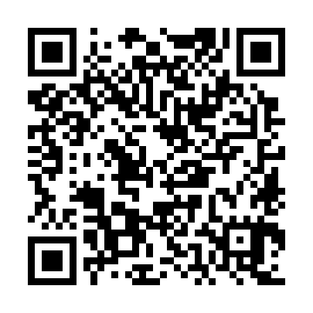 QR code for FEO385