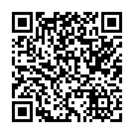 QR code for FFX065