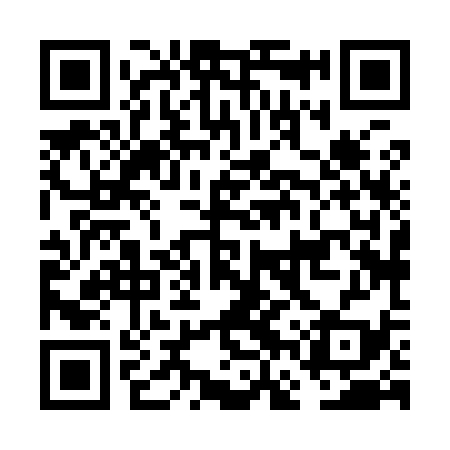 QR code for FFX939