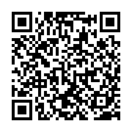 QR code for FFY381