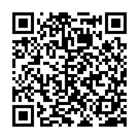 QR code for FGM341