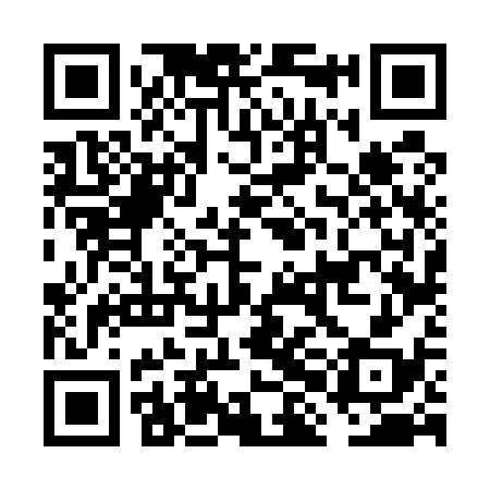 QR code for FHF538