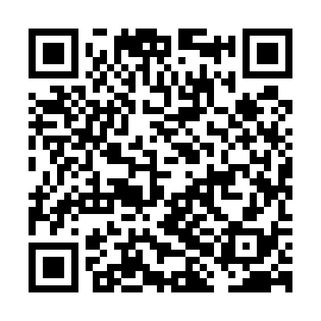 QR code for FHI538