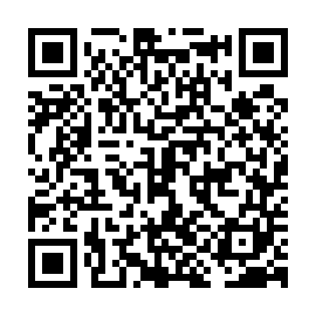 QR code for FIG541