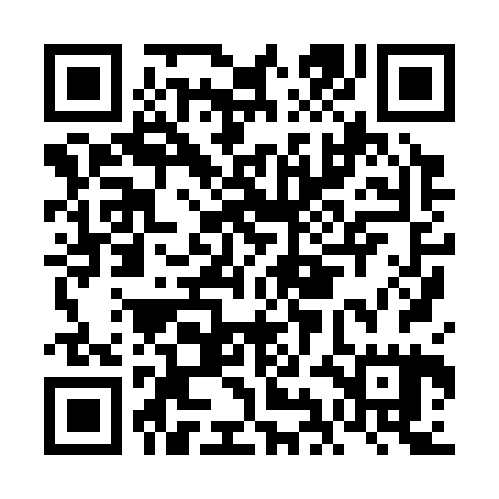 QR code for FIH325