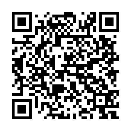 QR code for FJX533