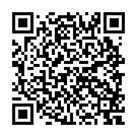 QR code for FKX383