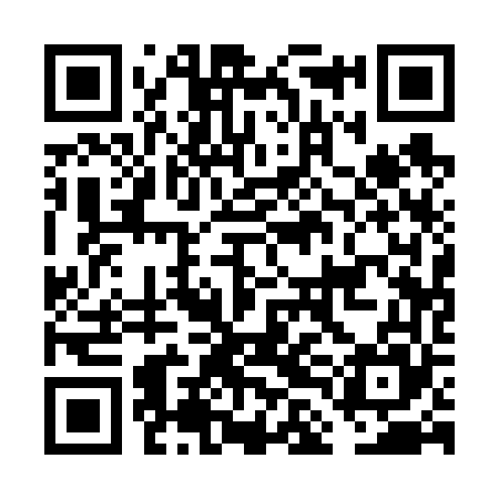 QR code for FLA665